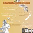 BeeNZ Raw Manuka Honey, Certified UMF 5+ (MGO 83+), Pure New Zealand Manuka Honey, Natural Sweetener, Superfood Honey for Wellness Support, No Sugar Added, Traceable from Hive to Jar, 17.6 oz/500g