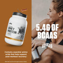 Levels Grass Fed Whey Protein Powder, No Artificials, 24G of Protein, Double Chocolate, 5LB