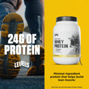 Levels Grass Fed Whey Protein Powder, No Artificials, 24G of Protein, Double Chocolate, 5LB