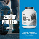 Levels Grass Fed Whey Protein Powder, No Artificials, 24G of Protein, Double Chocolate, 5LB