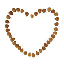 Natural Raw Bitter Apricot Kernels 16oz, Organic USDA Certified Bitter Apricot Seeds 1LB