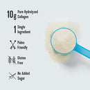 Vital Proteins Marine Collagen Peptides Powder Supplement for Skin Hair Nail Joint - Hydrolyzed Collagen - 12g per Serving - 7.8 oz Canister