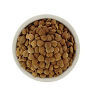 Natural Raw Bitter Apricot Kernels 16oz, Organic USDA Certified Bitter Apricot Seeds 1LB