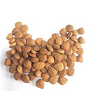Natural Raw Bitter Apricot Kernels 16oz, Organic USDA Certified Bitter Apricot Seeds 1LB