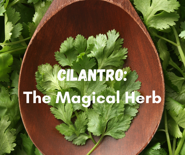 Why Cilantro is Your Winter Reset Secret Weapon