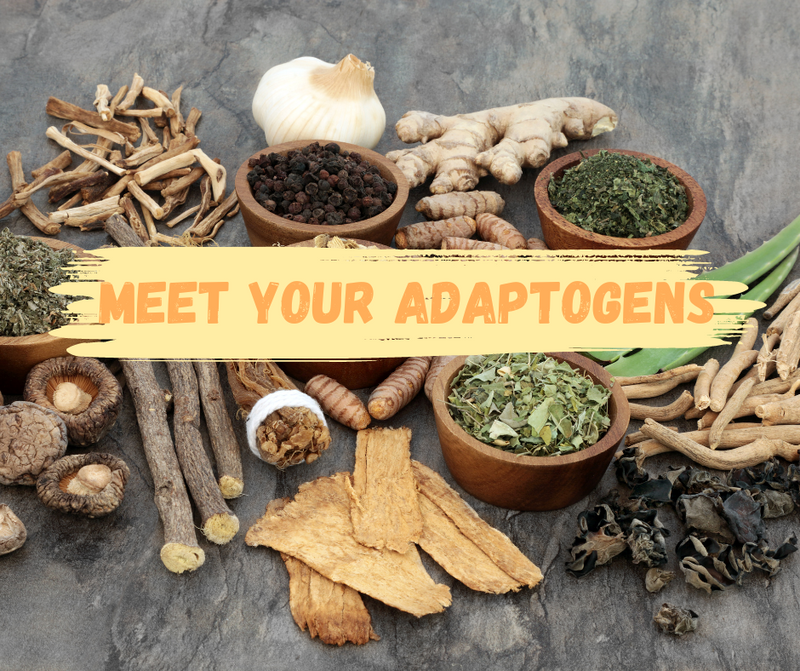 The Natural Way to Manage Stress: Meet your Adaptogens