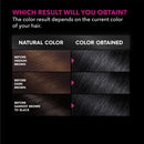 Garnier Hair Color Olia Ammonia-Free Brilliant Color Oil-Rich Permanent Hair Dye, 6.0 Light Brown, 1 Count (Packaging May Vary)