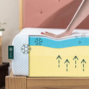 ZINUS 10 Inch Green Tea Cooling Gel Memory Foam Mattress, Fiberglass Free, Cooling Gel Foam, Pressure Relieving, CertiPUR-US Certified, Bed-in-a-Box, Queen