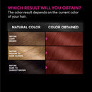 Garnier Hair Color Olia Ammonia-Free Brilliant Color Oil-Rich Permanent Hair Dye, 6.0 Light Brown, 1 Count (Packaging May Vary)