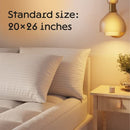 Niagara 4 Pack King Pillow Protectors with Zipper, Soft Quiet Cotton Sateen, Effective Dust Protection, Stay in Place Pillow Covers, Ideal for Home, Guests, Rentals (20x36 Inches)