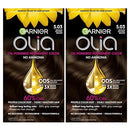 Garnier Hair Color Olia Ammonia-Free Brilliant Color Oil-Rich Permanent Hair Dye, 6.0 Light Brown, 1 Count (Packaging May Vary)