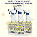 Grandma's Secret Spot Remover Laundry Spray - Chlorine, Bleach and Toxin-Free Stain Remover - Stain Remover for Clothes - Fabric Stain Remover Removes Oil, Paint, Blood and Pet Stains - 16 Oz, 2 Pack