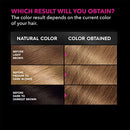 Garnier Hair Color Olia Ammonia-Free Brilliant Color Oil-Rich Permanent Hair Dye, 6.0 Light Brown, 1 Count (Packaging May Vary)