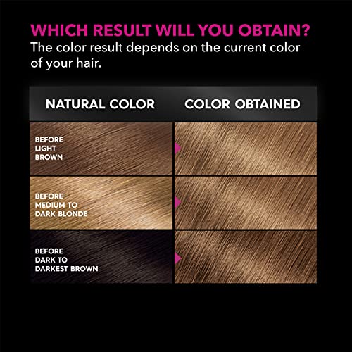 Garnier Hair Color Olia Ammonia-Free Brilliant Color Oil-Rich Permanent Hair Dye, 6.0 Light Brown, 1 Count (Packaging May Vary)