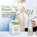 Four Sigmatic Organic Plant-Based Protein Powder Unflavored Protein with Lion’s Mane, Chaga, Cordyceps and More | Clean Vegan Protein Elevated for Brain Function and Immune Support | 16.9 oz