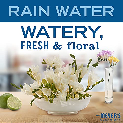 MRS. MEYER'S CLEAN DAY Liquid Hand Soap Refill, Cruelty Free and Biodegradable Formula, Lavender Scent, 33 Fl Oz (Pack of 1)