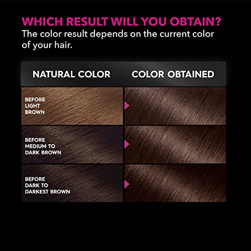 Garnier Hair Color Olia Ammonia-Free Brilliant Color Oil-Rich Permanent Hair Dye, 6.0 Light Brown, 1 Count (Packaging May Vary)
