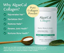 ALGAECAL Collagen: 4 Clinically-Supported Peptides VERISOL®, FORTIGEL®, UC-II®, FORTIBONE®, Anti-Aging Hydrolyzed Collagen Powder, 30 Servings, Made in USA