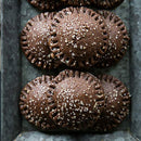 Peanut Butter & Co. Smooth Operator Peanut Butter, Non-GMO Project Verified, Gluten Free, Vegan, 16 Ounce (Pack of 6)