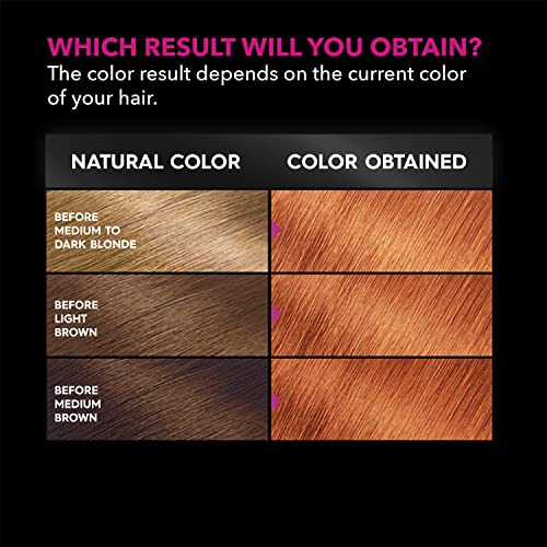 Garnier Hair Color Olia Ammonia-Free Brilliant Color Oil-Rich Permanent Hair Dye, 6.0 Light Brown, 1 Count (Packaging May Vary)