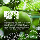 Lakanto Sugar Free Maple Syrup - Monk Fruit Sweetener, Keto Diet Friendly, Vegan, 1g Net Carbs, Pancakes, Waffles, Oatmeal, Coffee, Tea, Granola, Frosting, Marinade, Dressing (13 Fl Oz - Pack of 1)