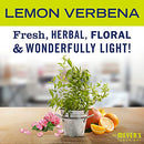 MRS. MEYER'S CLEAN DAY Liquid Hand Soap Refill, Cruelty Free and Biodegradable Formula, Lavender Scent, 33 Fl Oz (Pack of 1)