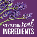 Seventh Generation EasyDose Laundry Detergent, Ultra Concentrated: 66 Loads, Mango & Mandarin Scent, 23.1 Fl Oz