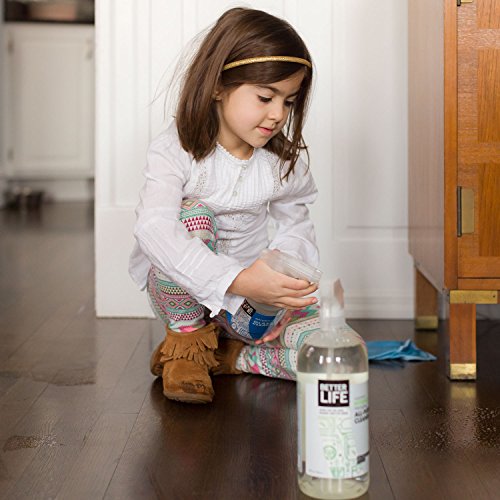 Better Life All Purpose Cleaner - Multipurpose Home and Kitchen Cleaning Spray for Glass, Countertops, Appliances, Upholstery & More - Multi-surface Spray Cleaner - 32oz Clary Sage & Citrus