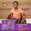 Annie's Organic Chewy Granola Bars, Chocolate Chip, 12 ct (Pack of 2)