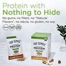 Four Sigmatic Organic Plant-Based Protein Powder Unflavored Protein with Lion’s Mane, Chaga, Cordyceps and More | Clean Vegan Protein Elevated for Brain Function and Immune Support | 16.9 oz