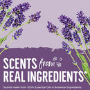 Seventh Generation EasyDose Laundry Detergent, Ultra Concentrated: 66 Loads, Mango & Mandarin Scent, 23.1 Fl Oz