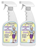 Grandma's Secret Spot Remover Laundry Spray - Chlorine, Bleach and Toxin-Free Stain Remover - Stain Remover for Clothes - Fabric Stain Remover Removes Oil, Paint, Blood and Pet Stains - 16 Oz, 2 Pack