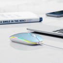 Wireless Bluetooth Mouse, Rechargeable, LED, Silent, Ultra-thin Design (Bluetooth 5.2 and 2.4GHz USB Receiver) | Portable Computer Mouse for Laptops, iPads, MacBooks and Apple Devices (Black)