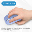 Wireless Bluetooth Mouse, Rechargeable, LED, Silent, Ultra-thin Design (Bluetooth 5.2 and 2.4GHz USB Receiver) | Portable Computer Mouse for Laptops, iPads, MacBooks and Apple Devices (Black)