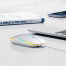 Wireless Bluetooth Mouse, Rechargeable, LED, Silent, Ultra-thin Design (Bluetooth 5.2 and 2.4GHz USB Receiver) | Portable Computer Mouse for Laptops, iPads, MacBooks and Apple Devices (Black)