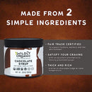 Wildly Organic Chocolate Syrup 20 Oz - Organic, Dairy-Free, Fair Trade, Non-GMO, Kosher, Vegan, Premium Rich Chocolate Flavor - Perfect for Ice Cream, Baking, Coffee, Chocolate Milk, Mocha, & Hot Cocoa - 2 Ingredients: Raw Cacao Powder & Raw Agave