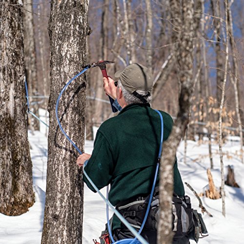 Pure Vermont Maple Syrup, Grade A, Dark Color, Robust Taste, All Natural, Easy Pour, 32 Fl Oz, 1 Qt (Prev Grade B)