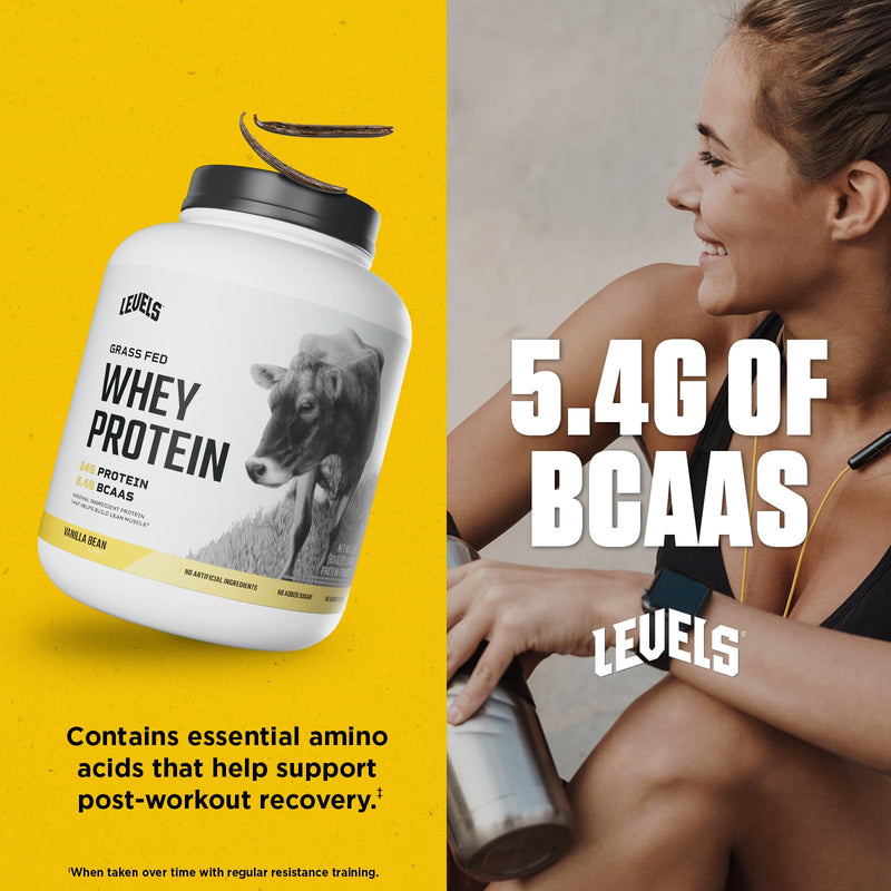 Levels Grass Fed Whey Protein Powder, No Artificials, 24G of Protein, Double Chocolate, 5LB