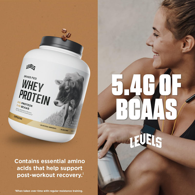Levels Grass Fed Whey Protein Powder, No Artificials, 24G of Protein, Double Chocolate, 5LB