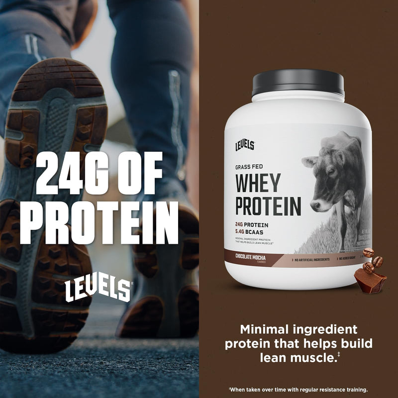 Levels Grass Fed Whey Protein Powder, No Artificials, 24G of Protein, Double Chocolate, 5LB