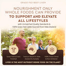 Ancestral Supplements Grass Fed Beef Organ Supplement, Supports Whole Body Wellness with Proprietary Blend of Liver, Heart, Kidney, Pancreas, Spleen, Freeze-Dried Beef, Non-GMO, 180 Capsules