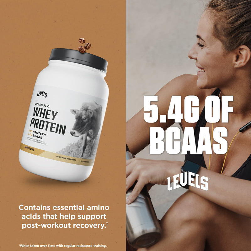 Levels Grass Fed Whey Protein Powder, No Artificials, 24G of Protein, Double Chocolate, 5LB