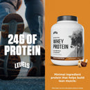 Levels Grass Fed Whey Protein Powder, No Artificials, 24G of Protein, Double Chocolate, 5LB