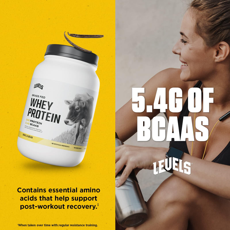 Levels Grass Fed Whey Protein Powder, No Artificials, 24G of Protein, Double Chocolate, 5LB