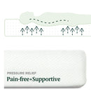 ZINUS 6 Inch Green Tea Memory Foam Mattress, Fiberglass Free, Patented Custom Contour Support, Sturdy Base Foam, CertiPUR-US Certified, Bed-in-a-box, Twin, White