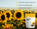 Kate Naturals Sunflower Lecithin Powder for Baking Bread, Gummies, Cooking, Lactation Supplement. Substitute for Soy Lecithin Powder (12 oz, Non-GMO)