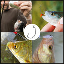 FishTrip EWG Hooks for Bass Fishing-50pcs Offset Worm Hook Texas Rig Hooks for Freshwater Saltwater Size 1/0