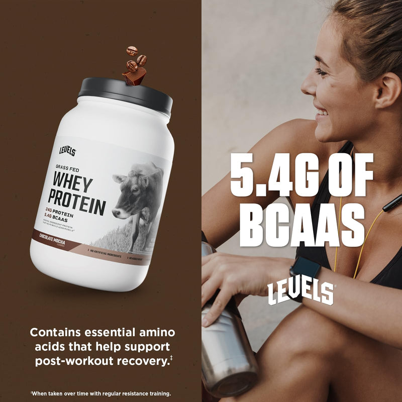 Levels Grass Fed Whey Protein Powder, No Artificials, 24G of Protein, Double Chocolate, 5LB