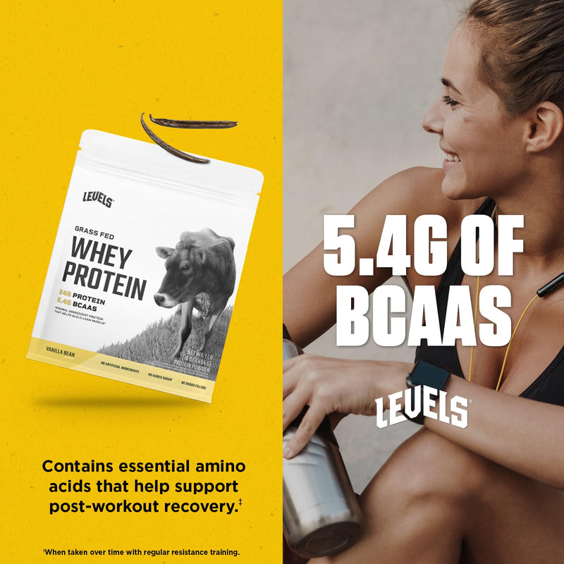 Levels Grass Fed Whey Protein Powder, No Artificials, 24G of Protein, Double Chocolate, 5LB