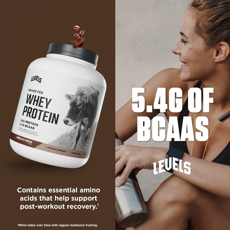 Levels Grass Fed Whey Protein Powder, No Artificials, 24G of Protein, Double Chocolate, 5LB